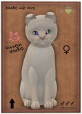 KittyCatS Box - Abyssinian - Creme