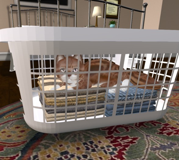 Cat Bed - Clean Laundry