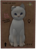 KittyCatS Box - Balinese - Cream Lynx