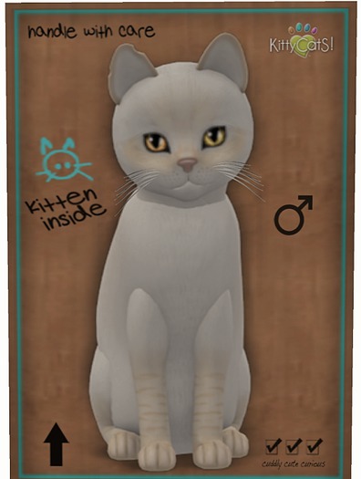 KittyCatS Box - Balinese - Cream Lynx