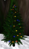 Small Lighted Tree (box)