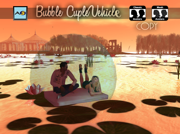 0.1 BUBBLE VEHICLE (couple pose)