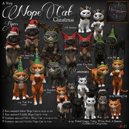 16. *HEXtraordinary* Nope Cat - Cuddle Ginger