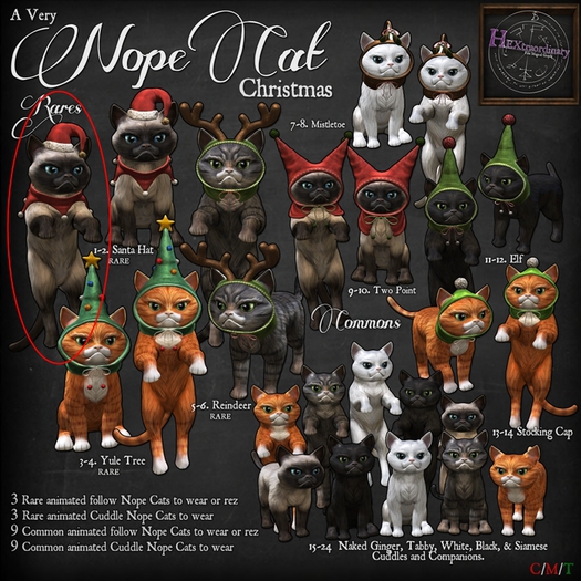 2. *HEXtraordinary* Nope Cat - Cuddle Santa - RARE