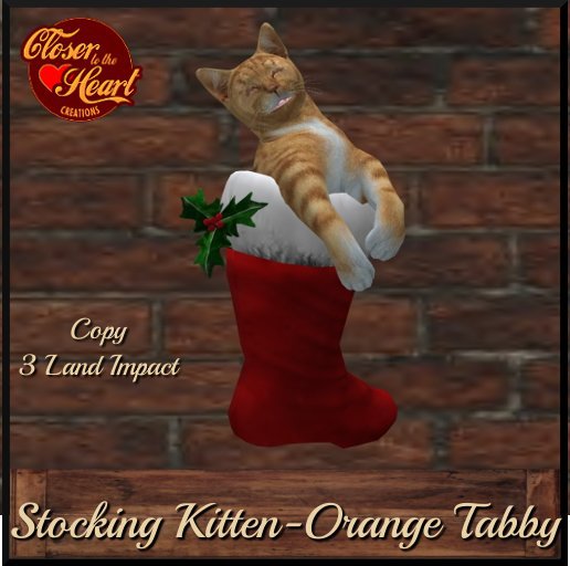 Stocking Kitten - Orange Tabby**