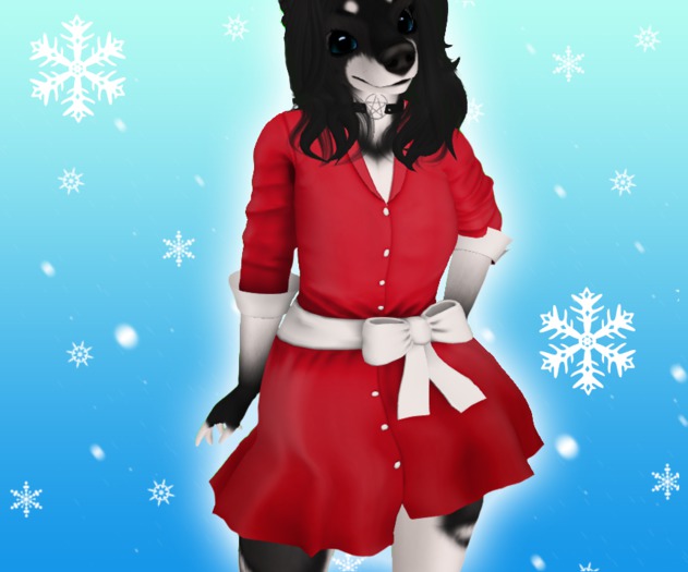 Winter Dress - Red and White