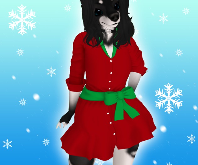 Winter Dress - Red and Green