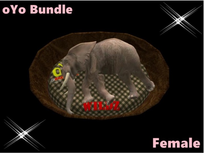 oYo Bundle - Female Brown Elephan