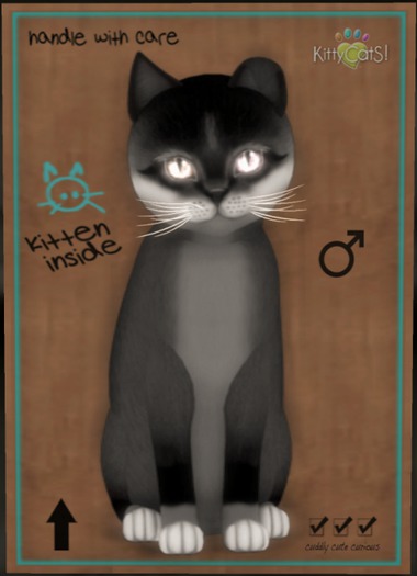 KittyCatS Box - Foxie - Soft Black