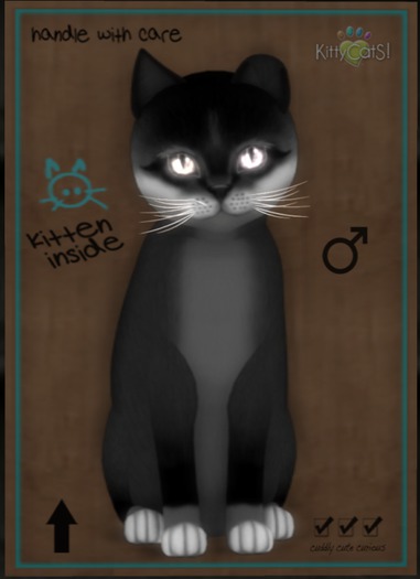 KittyCatS Box - Foxie - Soft Black