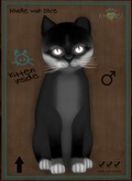 KittyCatS Box - Foxie - Soft Black