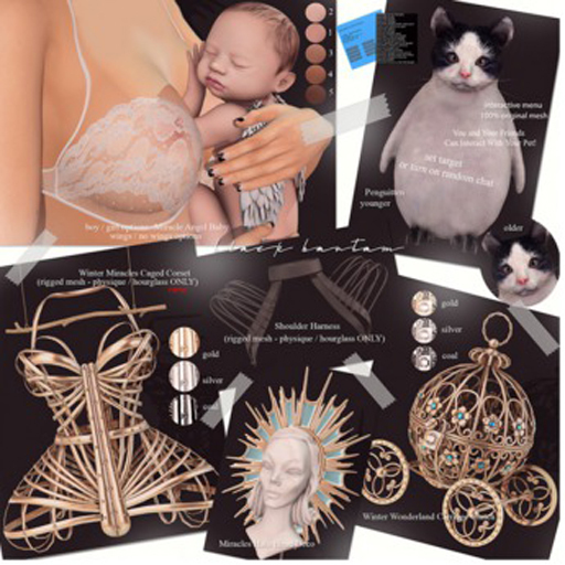 *[BB] Winter Miracles Caged Corset Physique Silver RARE