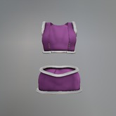 Pink Winter Queen Mesh Skirt Outfit box
