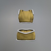 Yellow Winter Queen Mesh Skirt Outfit box