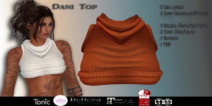 .::MiRRoR::.DANI Shirt Color11  (Boxed)