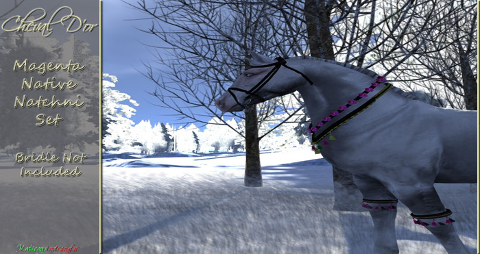 Cheval D'or - Magenta Native Natchni Set