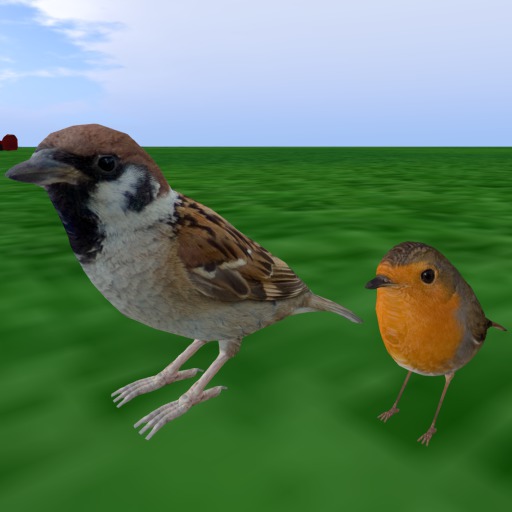 {Papillon} [Boxed] 3-Month Bird-Accessory Pair