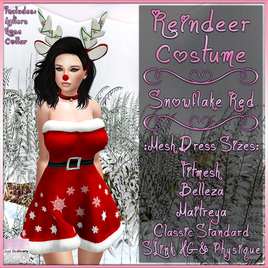 Reindeer Costume Snowflake Red