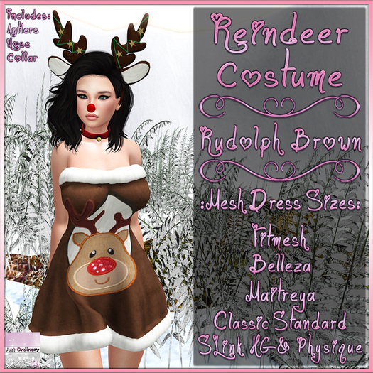 Reindeer Costume Rudolf Brown