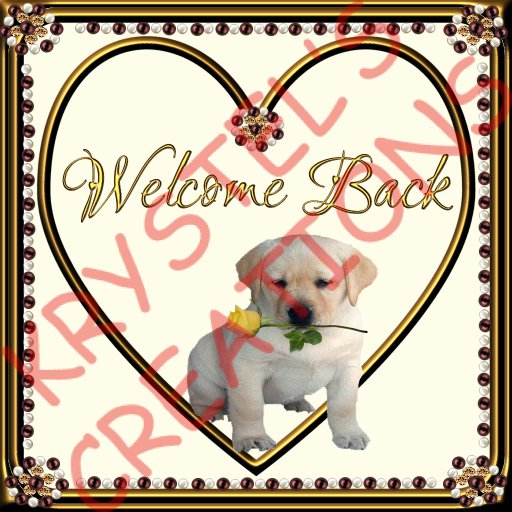WB13 Welcome Back Greetings Card (Wear Me)