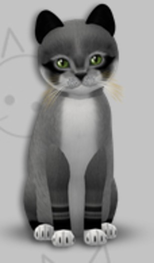 KittyCatS Box - Foxie Argyle/6T/Female/Fussy