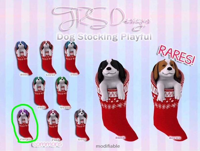 Dog Stocking Playful Common Purple