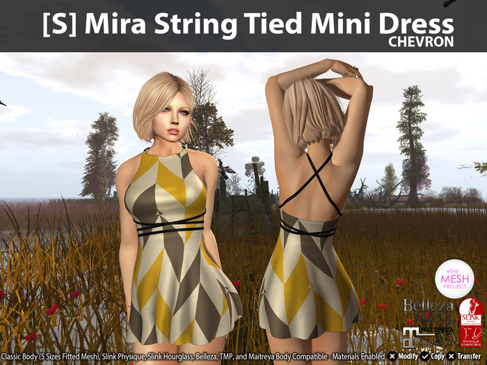 [S] Mira String Tied Mini Dress Chevron