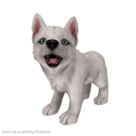 JIAN Holiday Huskies 7. Companion Pup White