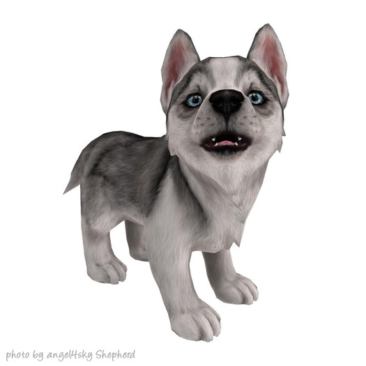 JIAN Holiday Huskies 9. Companion Pup Grey