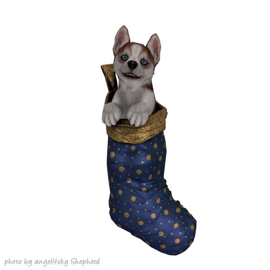 JIAN Holiday Huskies 19. Speckle Stocking Pupper