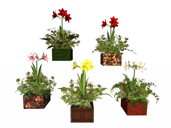 MSD - Amaryllis Christmas Planters - Lighted - Set of Five (4 LI) C/M