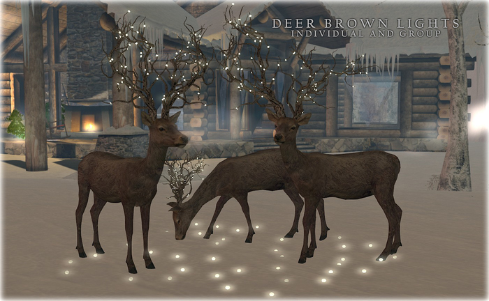 DEER BROWN LIGHTS