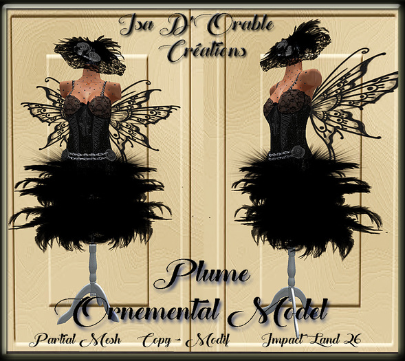 Ornemental Model - Plume BOX