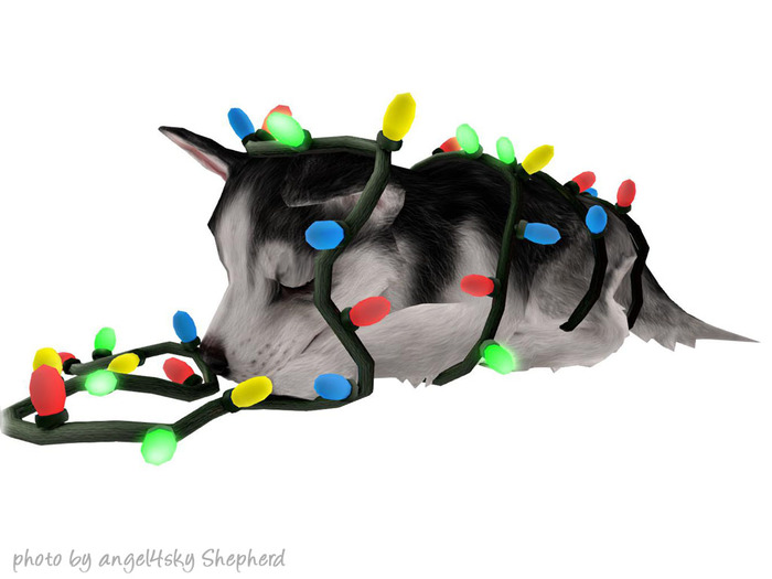 JIAN Holiday Huskies 3. Tangled Lights RARE