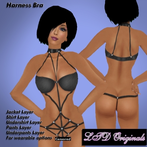 LTD Harness Bra Set