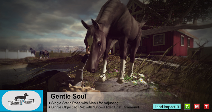 Gentle Soul