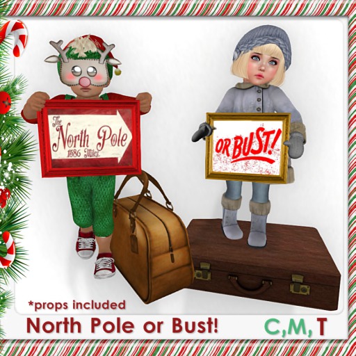 Northpole of bust frame!