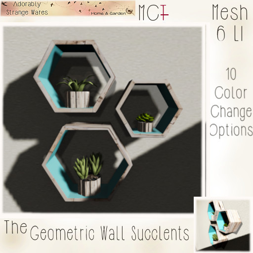 ~ASW~ The Geometric Wall Succulents