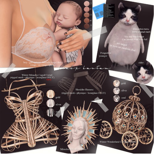 *[BB] Winter Miracles Caged Corset Hourglass Silver RARE