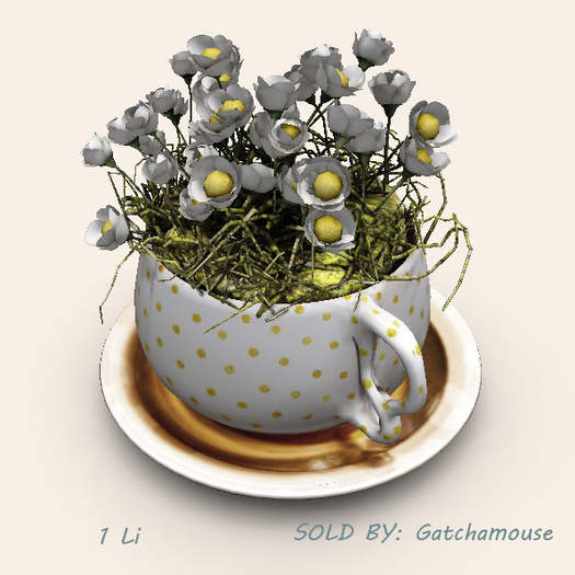 dust bunny . wanderlust . daisy teacup