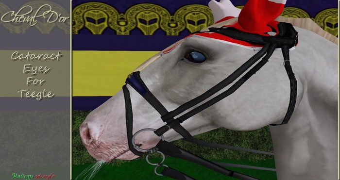 Cheval D'or - Cataract Eyes