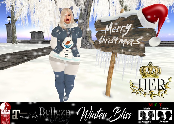 {CB} WINTER BLISS OUTFIT(B)