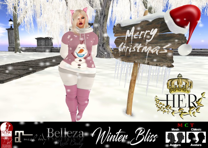 {CB} WINTER BLISS OUTFIT(C)