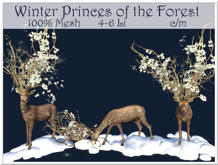 LOVE - WINTER PRINCES OF THE FOREST (ADD ME & TOUCH SCREEN)