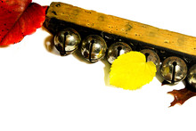 [[Wilder]] Sleigh Bells Walker