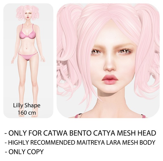 WHP - Lilly Shape for Catya Catwa Head Bento COPY ONLY