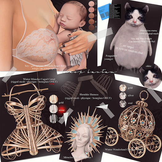 [BB] Winter Miracles Caged Corset Physique Silver RARE