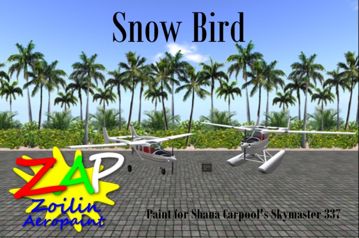 ZAP's Skymaster 337 Snow Bird Paint