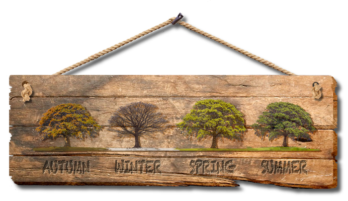 WALL ART OAK TREE