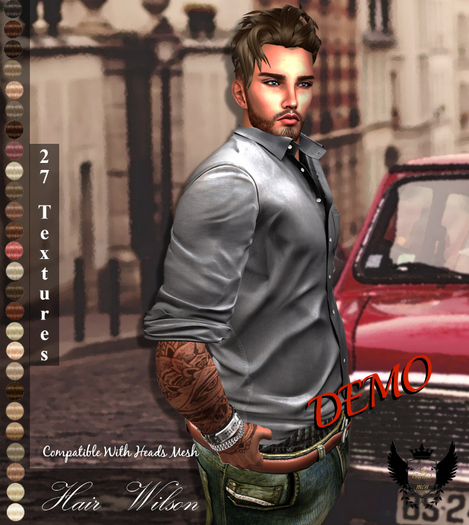 DEMO_Hair Wilson HUD